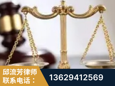 乐山-委托诉讼代理人出庭